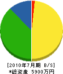 富士システム 貸借対照表 2010年7月期