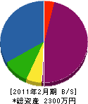 石川塗装店 貸借対照表 2011年2月期