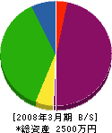 大阿蘇電総 貸借対照表 2008年3月期