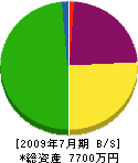 松井工務店 貸借対照表 2009年7月期