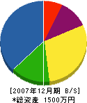 田井建設 貸借対照表 2007年12月期