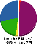 蛭田四方工業 貸借対照表 2011年5月期