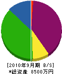 清水管工事 貸借対照表 2010年9月期 清水管工事 貸借対照表 2010年9月期