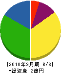 日本ジオテック 貸借対照表 2010年9月期