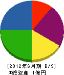 永野電気工事 貸借対照表 2012年6月期