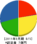 竹常 貸借対照表 2011年8月期
