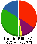 鴨志田興業 貸借対照表 2012年9月期
