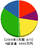 松本組 貸借対照表 2009年3月期