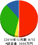 笠原材木店 貸借対照表 2010年12月期