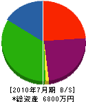 竹内工務店 貸借対照表 2010年7月期