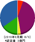 渡辺建設 貸借対照表 2010年8月期