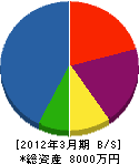 渡辺工業 貸借対照表 2012年3月期
