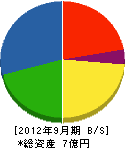 長崎日調 貸借対照表 2012年9月期