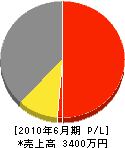 池田経師店 損益計算書 2010年6月期