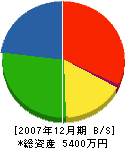 本田開発コンサルタント 貸借対照表 2007年12月期