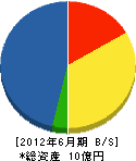 讃州電気工事 貸借対照表 2012年6月期