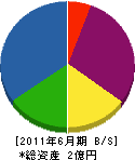 岩本工業 貸借対照表 2011年6月期