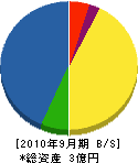 栄電業 貸借対照表 2010年9月期