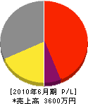 椿電工 損益計算書 2010年6月期