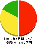 鎌田繁建設 貸借対照表 2012年5月期