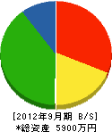 森田電気工業 貸借対照表 2012年9月期