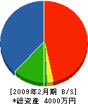 淀川電栄 貸借対照表 2009年2月期