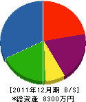 アネスコ 貸借対照表 2011年12月期