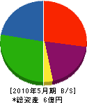 愛信建設 貸借対照表 2010年5月期