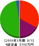 松木電気工事 貸借対照表 2009年3月期