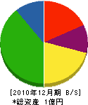 千葉東伸 貸借対照表 2010年12月期