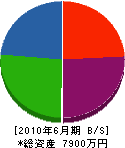 渡辺水道 貸借対照表 2010年6月期