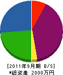 辻電業社 貸借対照表 2011年9月期