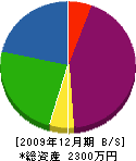 インテリア武内 貸借対照表 2009年12月期