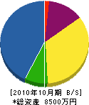 鶴田看板塗装店 貸借対照表 2010年10月期