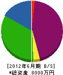 埼玉植木 貸借対照表 2012年6月期