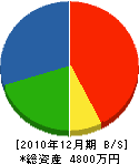 藤ノ川建設 貸借対照表 2010年12月期