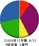 シーメンス・ジャパン 貸借対照表 2009年12月期