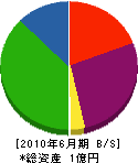 小沢興業 貸借対照表 2010年6月期