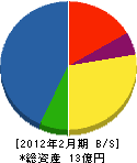 阪神施設工業 貸借対照表 2012年2月期