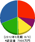 澤田建設 貸借対照表 2012年9月期