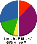 総合建設業タムラ 貸借対照表 2010年9月期