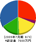 晃和 貸借対照表 2009年7月期