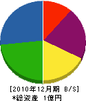 江川組 貸借対照表 2010年12月期