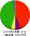 大澤商店 貸借対照表 2010年3月期
