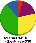 松吉繁工務店 貸借対照表 2012年4月期