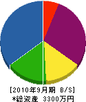 治田造園 貸借対照表 2010年9月期