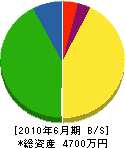 笹部畳商店 貸借対照表 2010年6月期