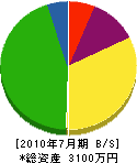 岡本建設 貸借対照表 2010年7月期