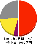 日本総合地質 損益計算書 2012年9月期