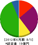 小山田工業所 貸借対照表 2012年6月期